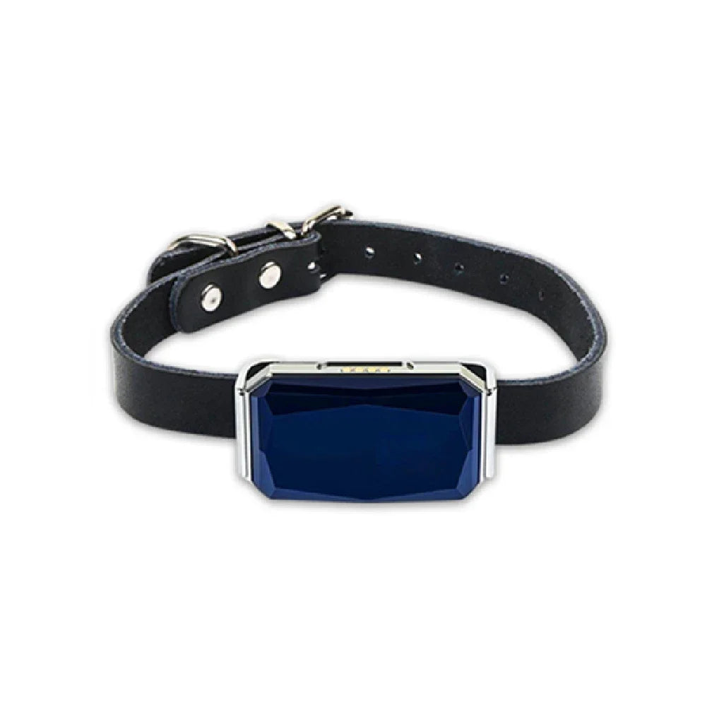 SafePaw - Smart GPS Tracker
