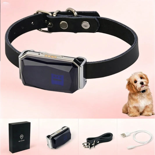 SafePaw - Smart GPS Tracker